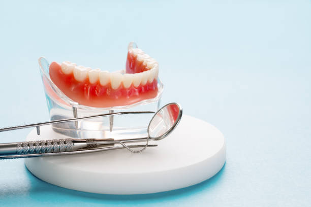 Best Preventive Dentistry  in Tremont, PA